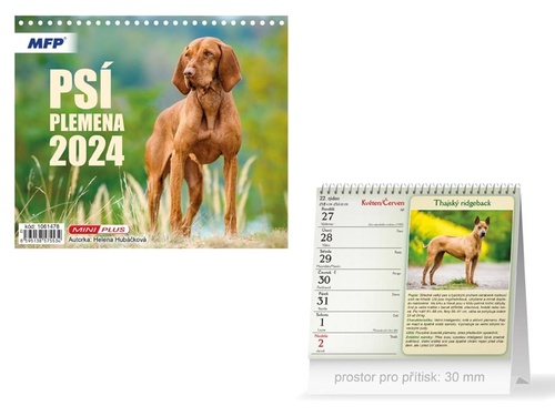 Mini Psí plemena 2024 - stolní kalendář