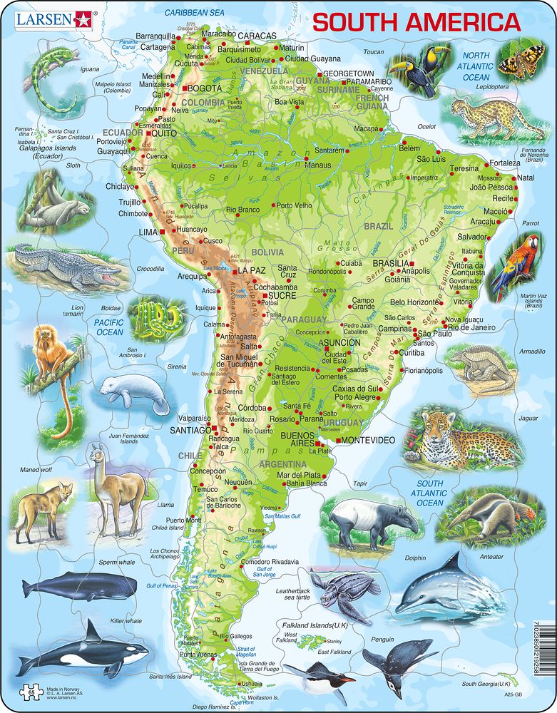 Larsen Puzzle - Južná Amerika - fyzická mapa so zviertami : A25