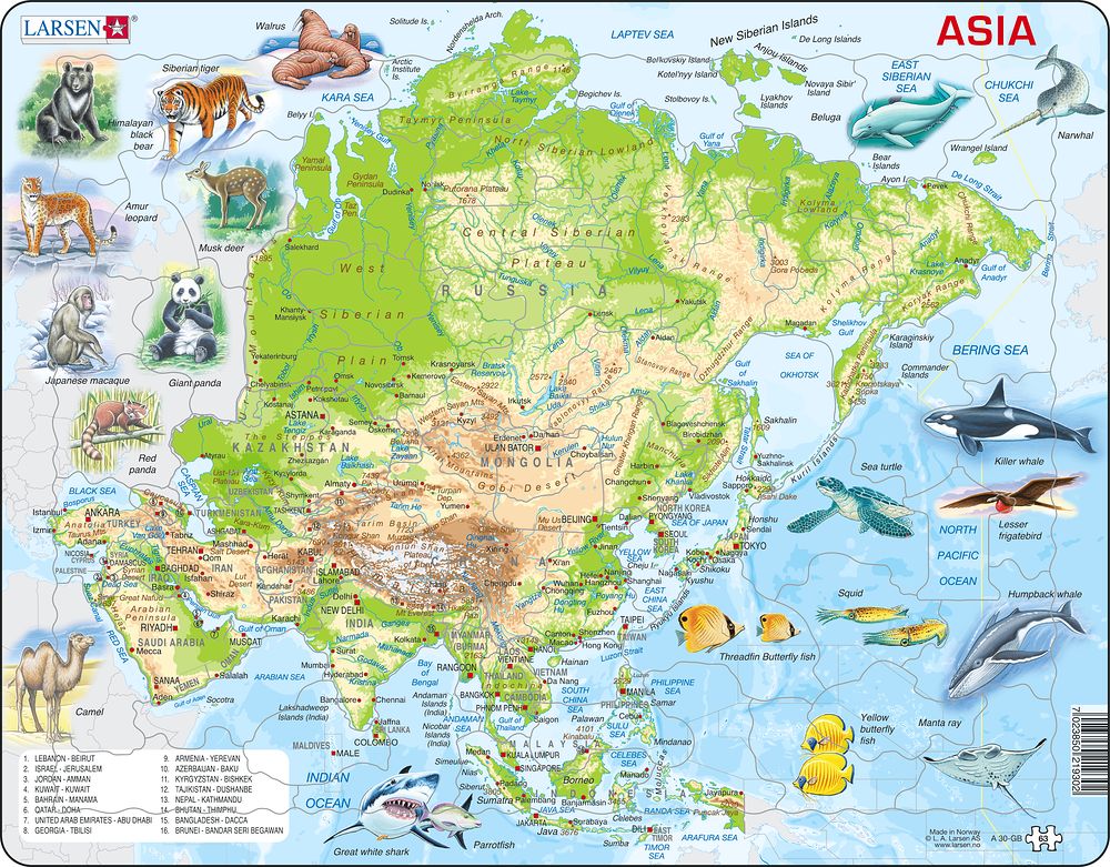 Larsen Puzzle - Ázia - fyzická mapa so zvieratami : A30