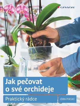 Jak pečovat o své orchideje