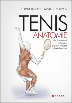 TENIS Anatomie
