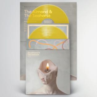 Gruff Rhys:  Almond & The Seahorse / Seahorse /Clear Yellow Vinyl