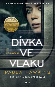 Dívka ve vlaku