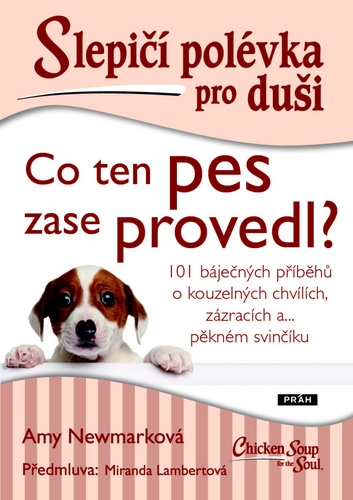 Slepičí polévka pro duši Co ten pes zase provedl?