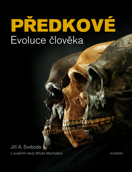 Předkové Evoluce člověka