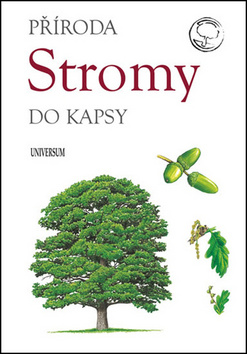 Stromy