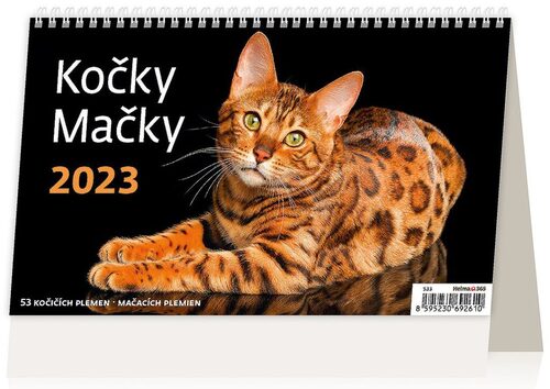 Kočky/Mačky 2023 - stolní kalendář