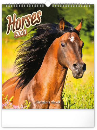 Koně 2023 - nástěnný kalendář