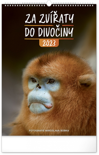 Za zvířaty do divočiny 2023 - nástěnný kalendář