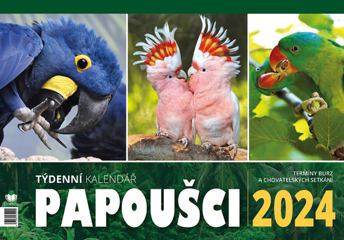Papoušci týdenní stolní kalendář 2024