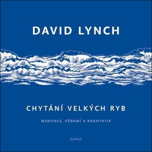 Chytání velkých ryb