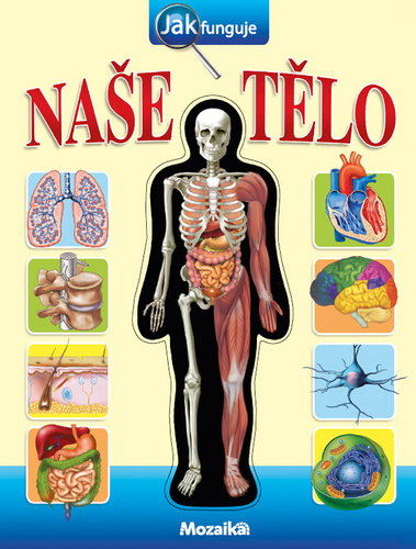 Naše tělo