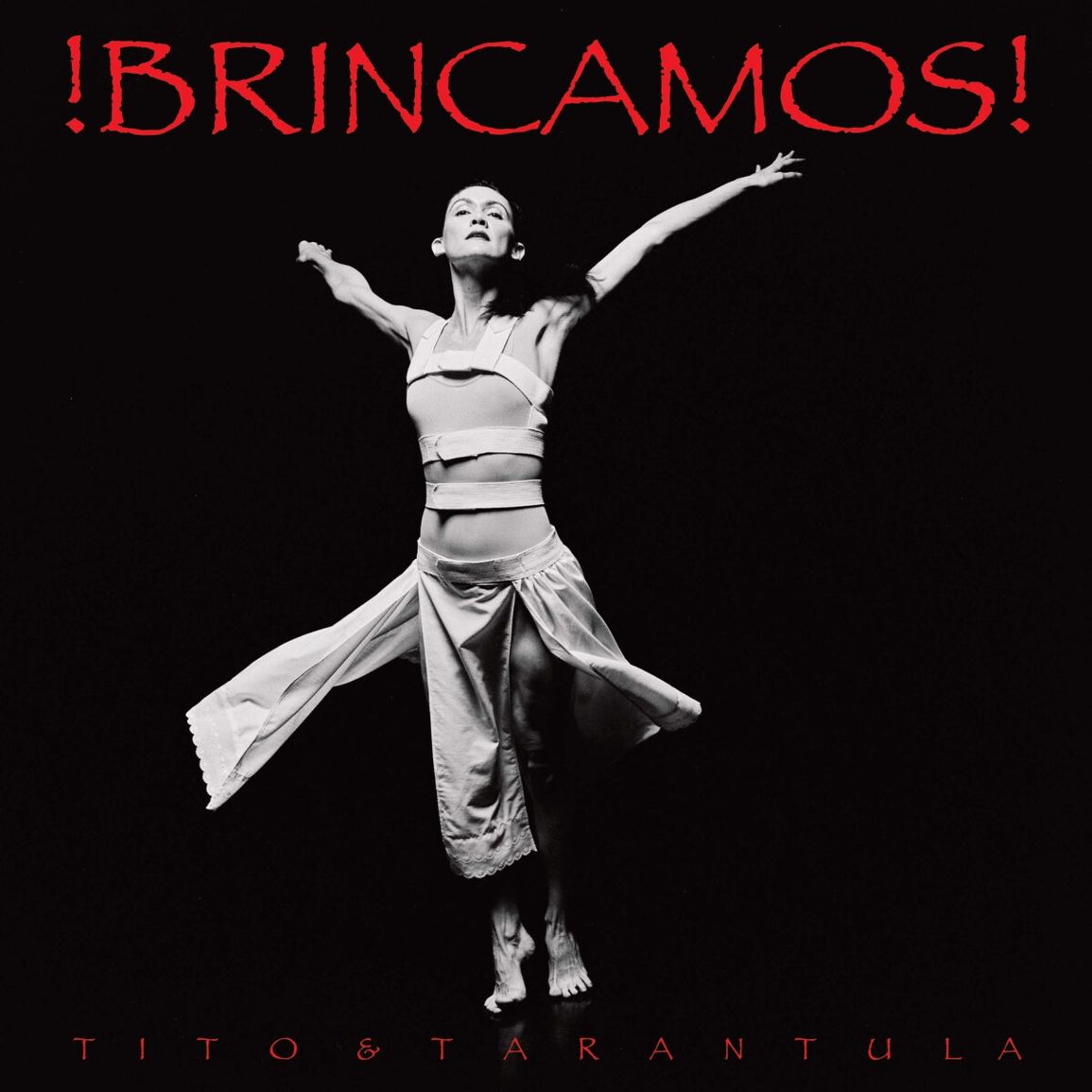 Tito & Tarantula:  !Brincamos!