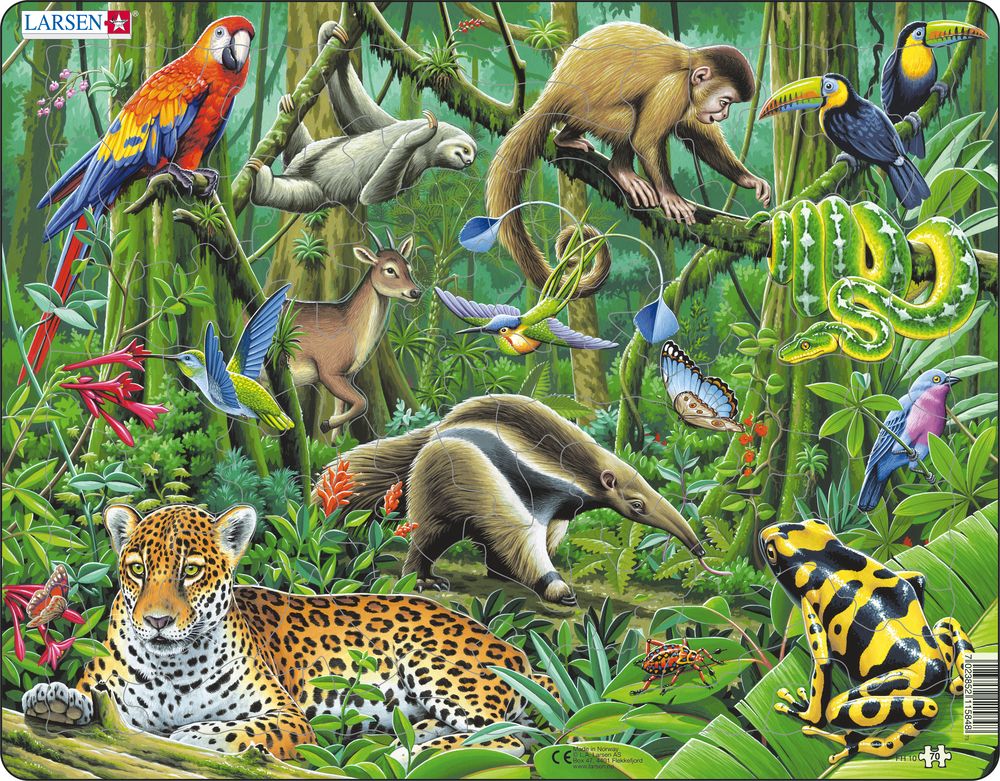 Larsen Puzzle - Jižní Amerika - zvířata