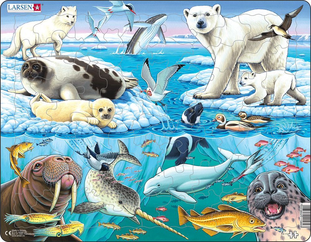 Larsen Puzzle - Arktické zvieratá : FH11