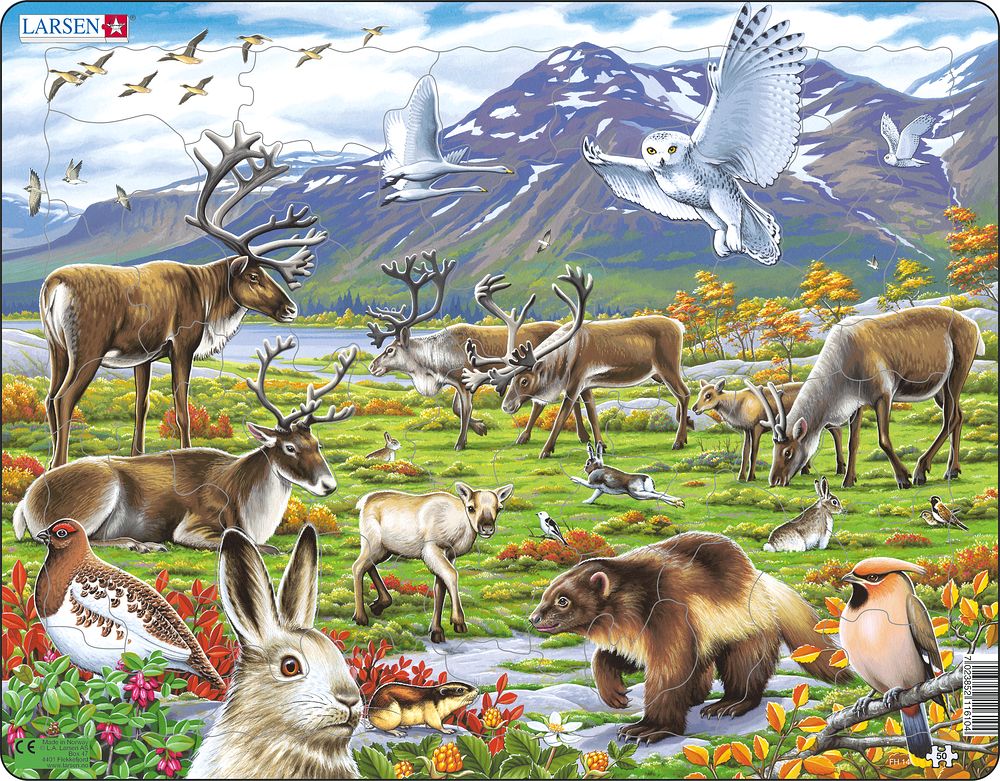 Larsen Puzzle - Severské zvieratá : FH14