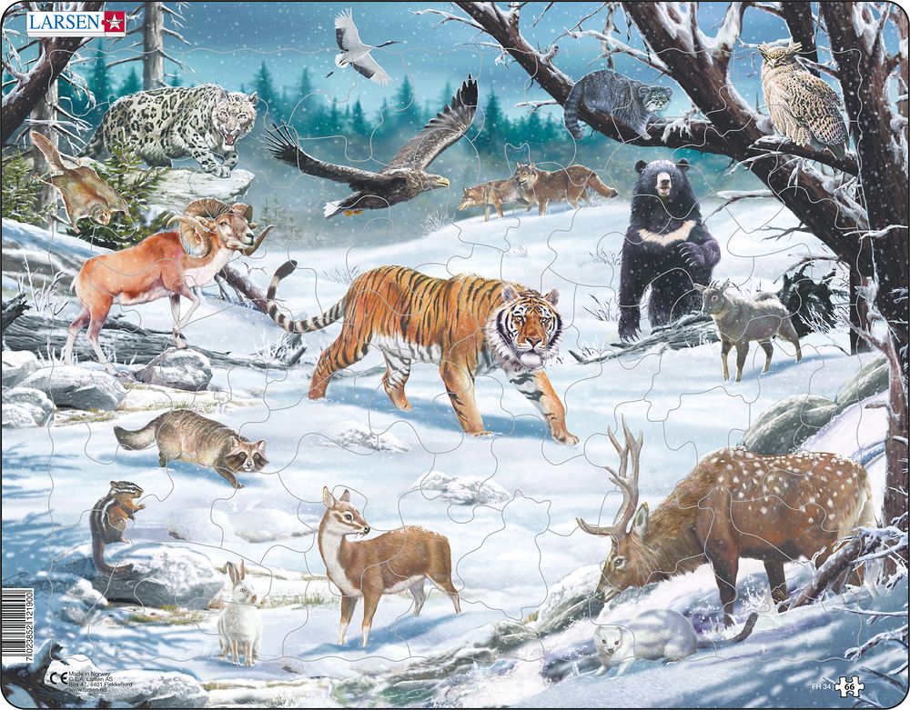 Larsen Puzzle - Sibírska divočina : FH 34