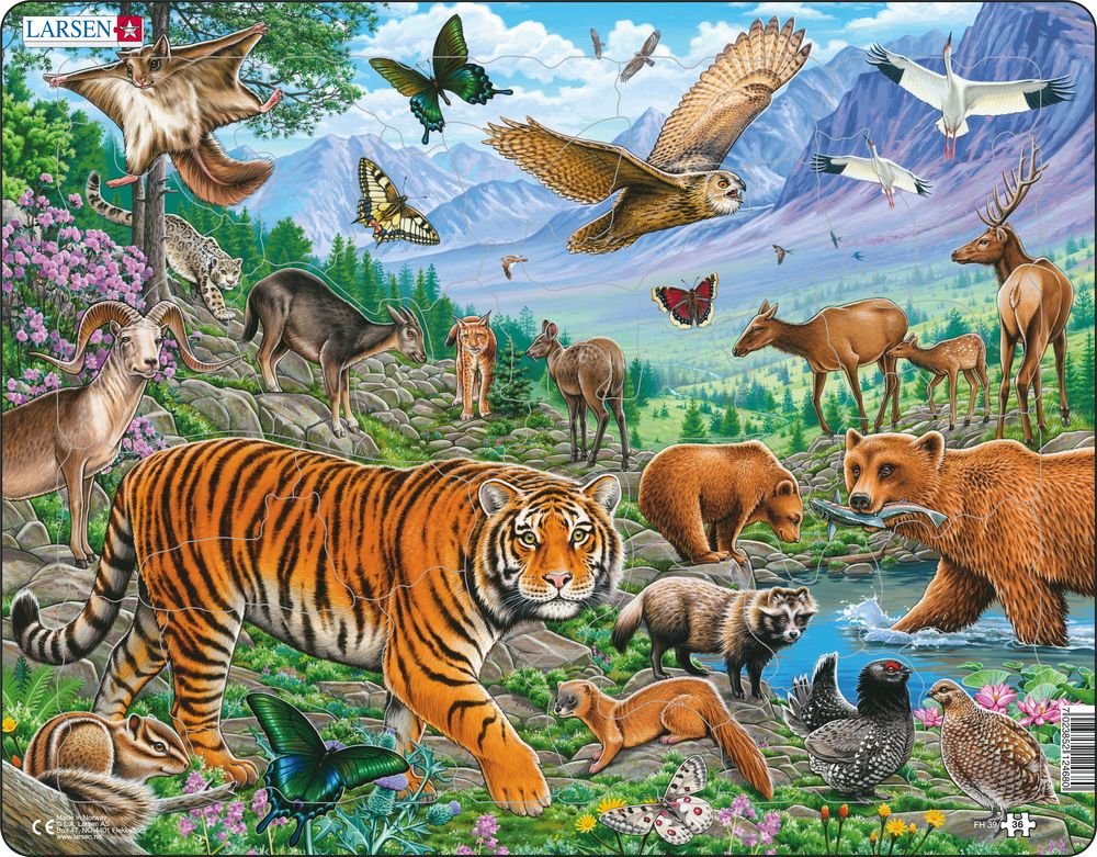Larsen Puzzle - Amúrsky tiger : FH39