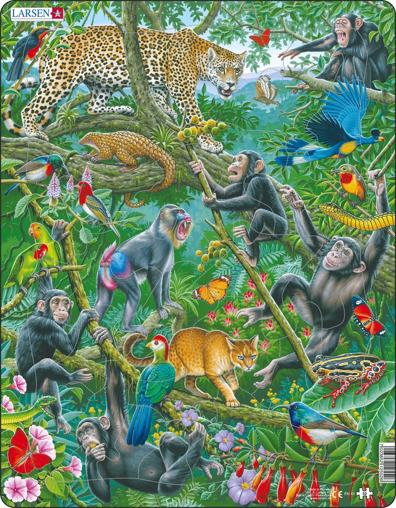 Larsen Puzzle - Africký dažďový les : FH41