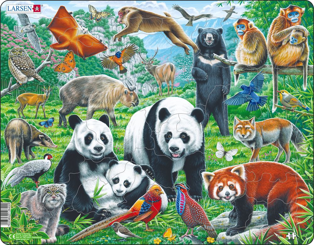 Larsen Puzzle - Čínská divoká príroda - FH43