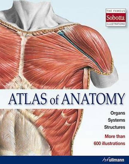 Atlas of Anatomy : The Human Body Described in 13 Systems