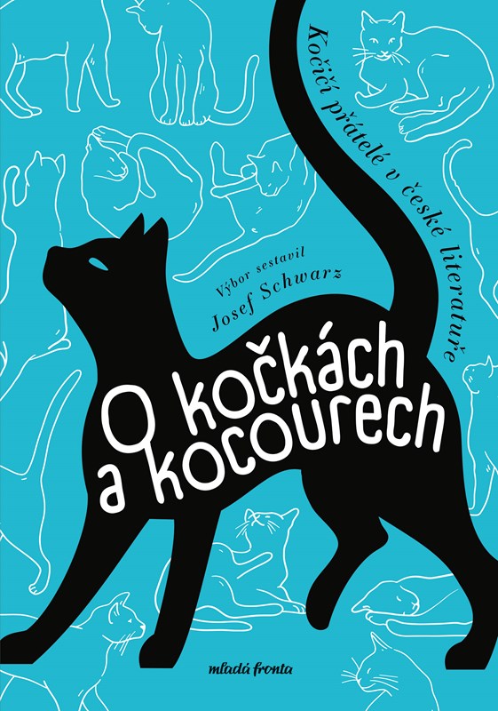 O kočkách a kocourech