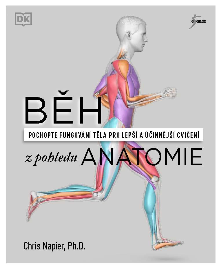Běh z pohledu anatomie