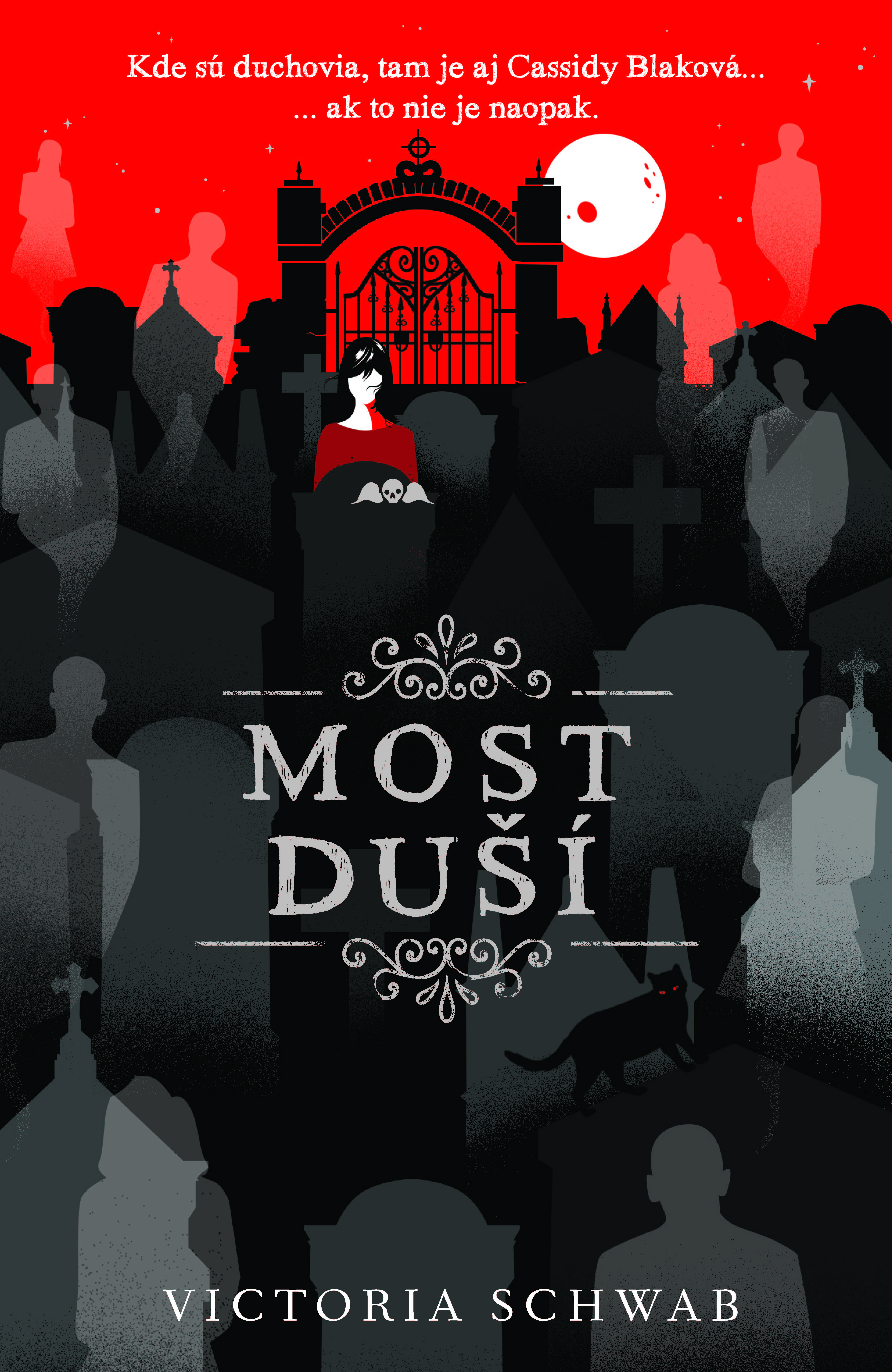 Most duší - Séria Cassidy Blake 3. diel