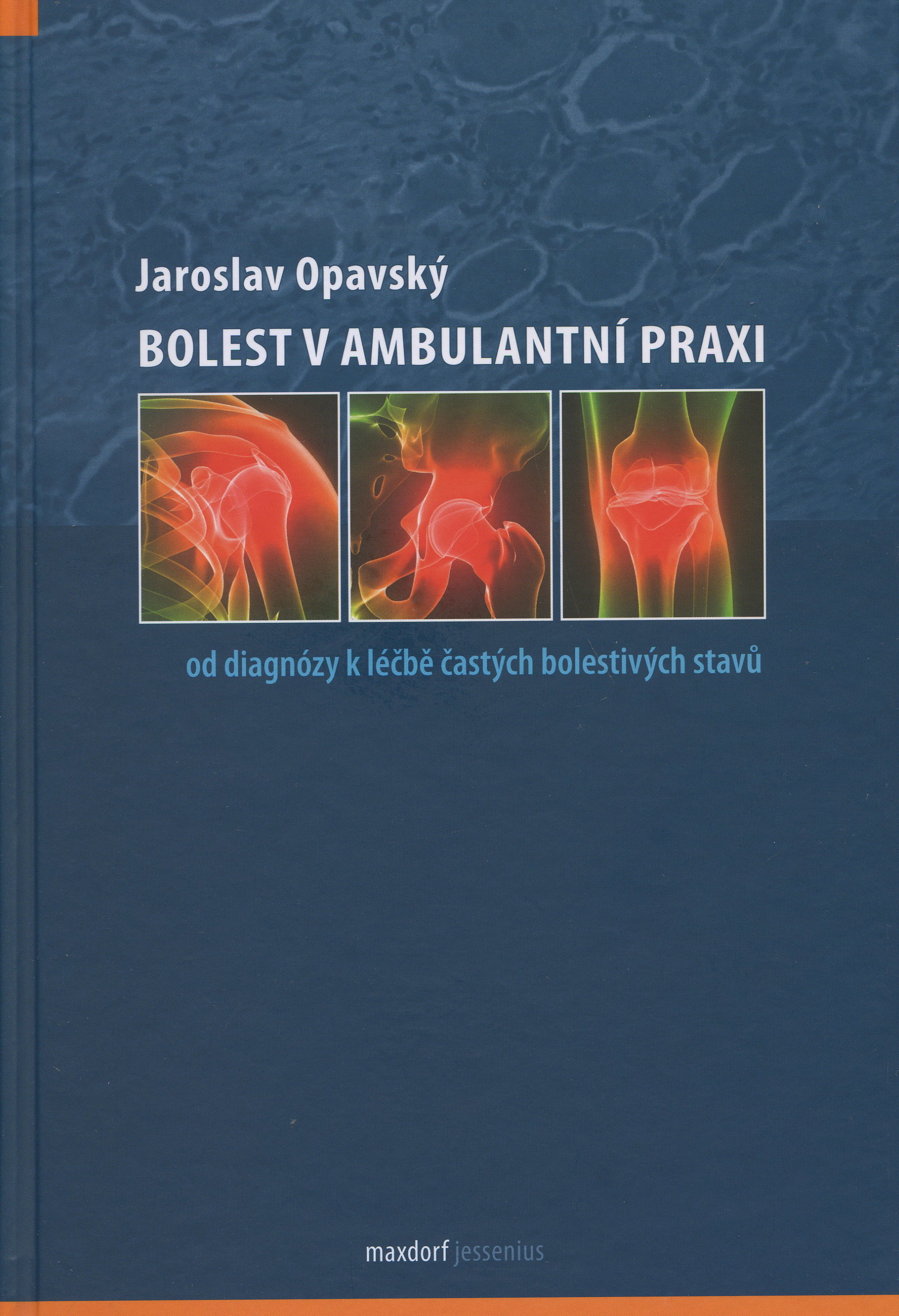 Bolest v ambulantní praxi