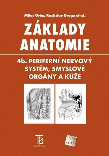 Základy anatomie 4b - Periferní nervový systém, smyslové orgány a kůže