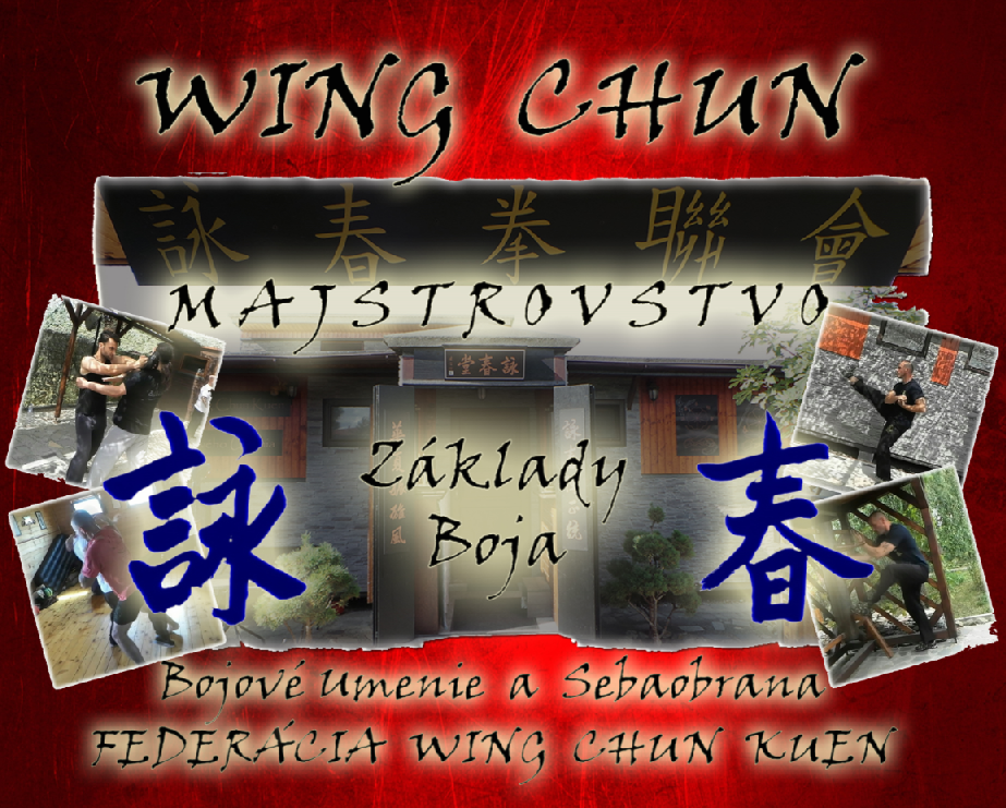 Wing Chun Majstrovstvo. Základy Boja + DVD